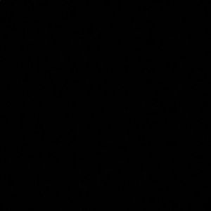 Meet your Posher, Kyler